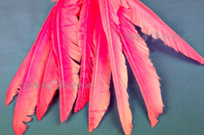 Декоративный Пучок из перьев, перо 25см/розовый - купить в Сызрани. Цена: 14.40 руб.