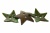 Деревянные украшения для рукоделия пуговицы "Кокос" #1 - купить в Сызрани. Цена: 55.18 руб.