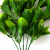 Трава искусственная -1, шт (эвкалипт лист 32 см/8 см)				 - купить в Сызрани. Цена: 169.93 руб.