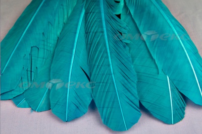 Декоративный Пучок из перьев, перо 24см/голубой - купить в Сызрани. Цена: 12.19 руб.