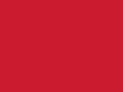 Сетка подкладочная красный, 60г/м2 (10 м/кг) - купить в Сызрани. Цена 885.73 руб.