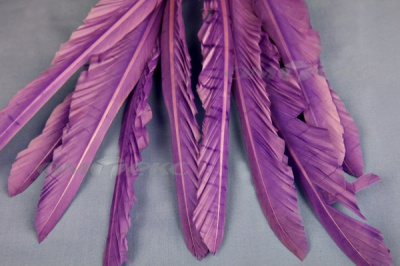 Декоративный Пучок из перьев, перо 25см/фиолетовый - купить в Сызрани. Цена: 12.19 руб.
