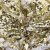 Трикотажное полотно, Сетка с пайетками, шир.130 см, #315, цв.-белый/золото - купить в Сызрани. Цена 693.39 руб.